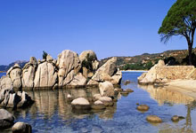 九游体育官网 -K②的简单介绍